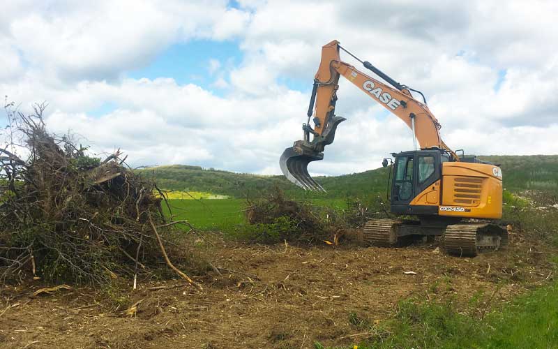 landclearing-02
