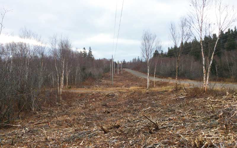 mulching-02