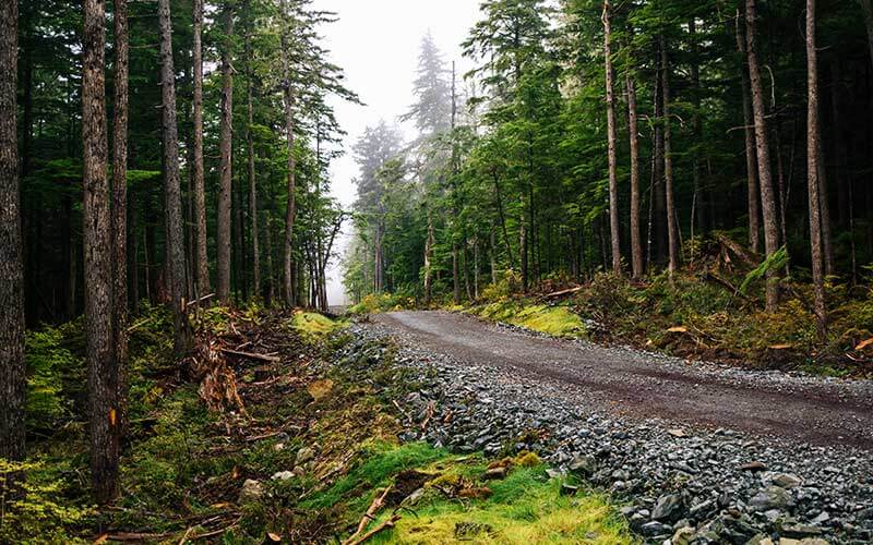 road-construction-new